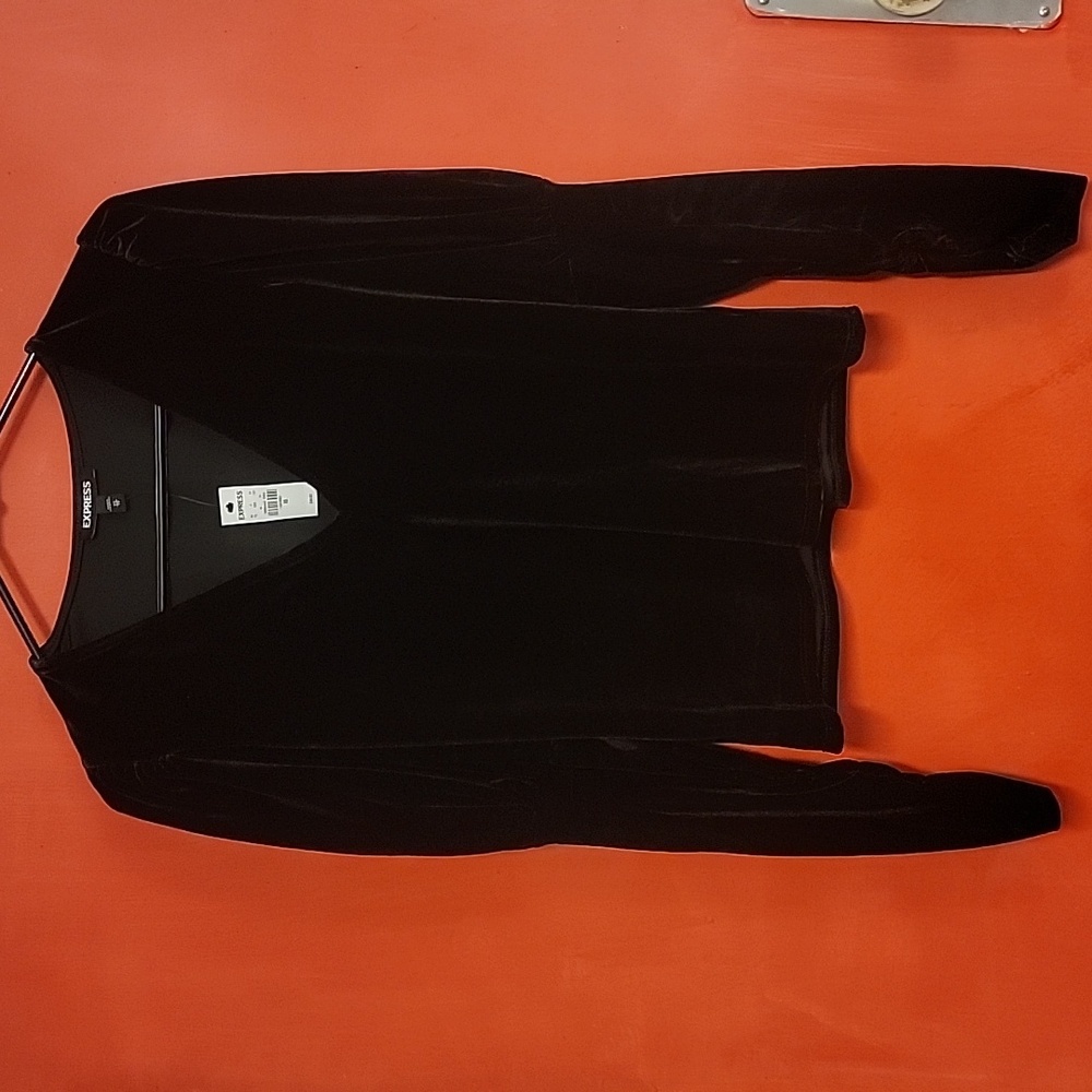 Express Velvet Top with Bishop Sleeves xs NWT